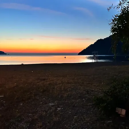 Yazici